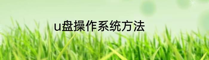 u盘操作系统方法