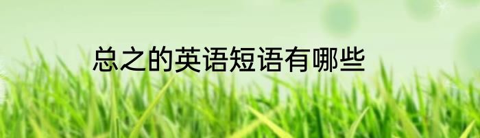 总之的英语短语有哪些