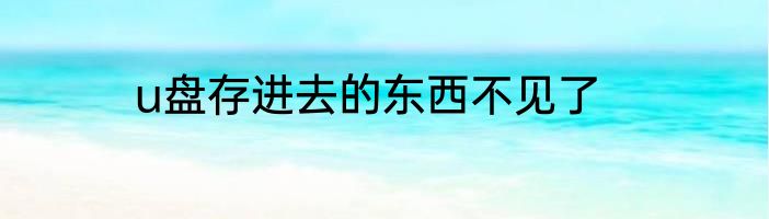 u盘存进去的东西不见了