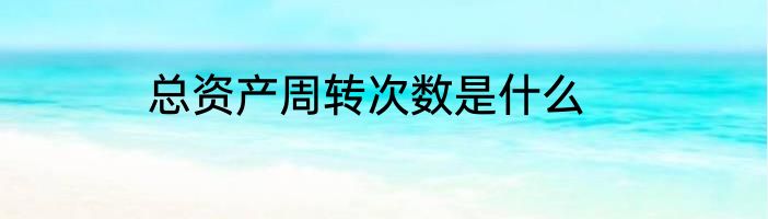 总资产周转次数是什么