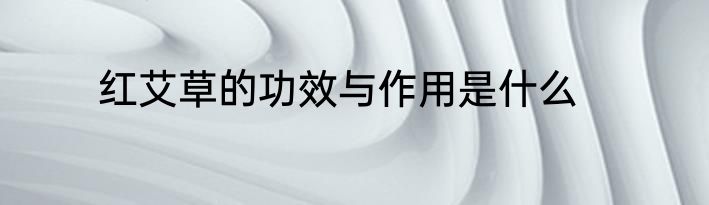 红艾草的功效与作用是什么