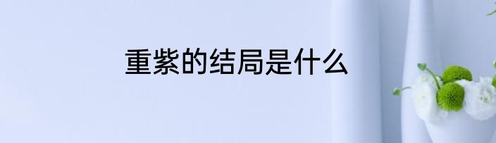 重紫的结局是什么