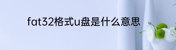 fat32格式u盘是什么意思