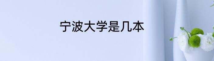 宁波大学是几本