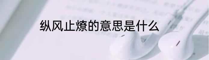 纵风止燎的意思是什么