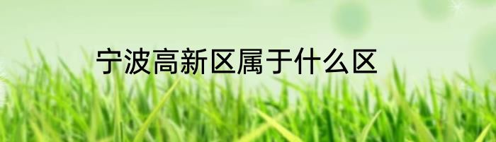 宁波高新区属于什么区