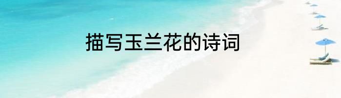 描写玉兰花的诗词