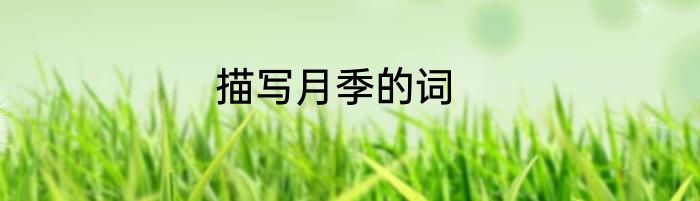 描写月季的词