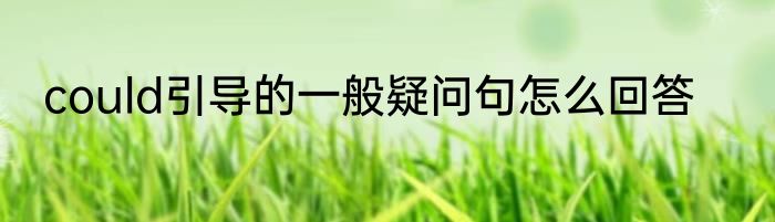 could引导的一般疑问句怎么回答