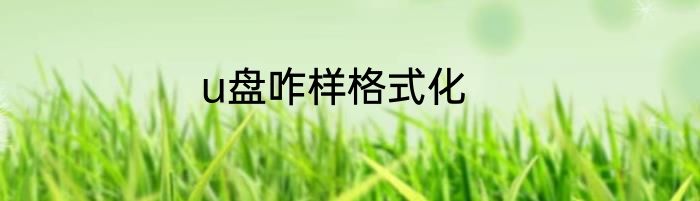 u盘咋样格式化