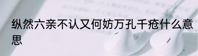 纵然六亲不认又何妨万孔千疮什么意思