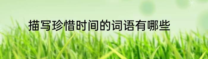 描写珍惜时间的词语有哪些