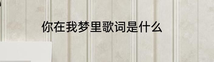 你在我梦里歌词是什么