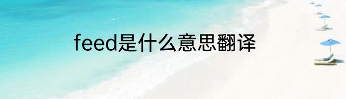 feed是什么意思翻译