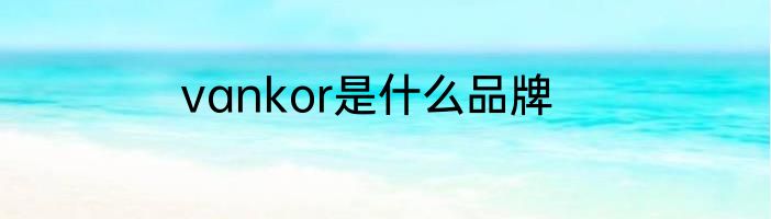 vankor是什么品牌