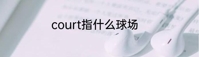 court指什么球场