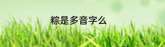 粽是多音字么