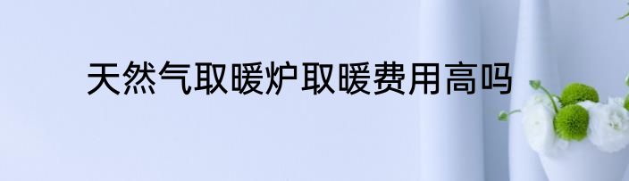 天然气取暖炉取暖费用高吗
