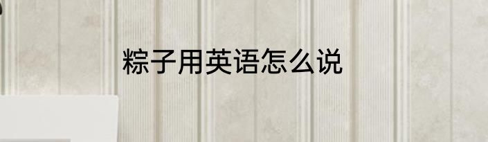 粽子用英语怎么说