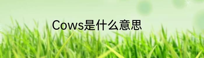 Cows是什么意思