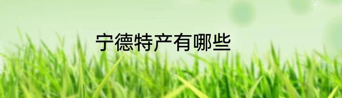 宁德特产有哪些