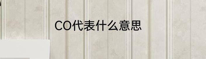 CO代表什么意思