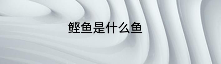 鲣鱼是什么鱼