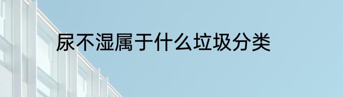 尿不湿属于什么垃圾分类