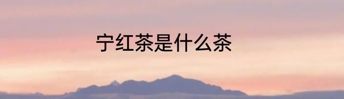 宁红茶是什么茶