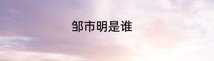 邹市明是谁