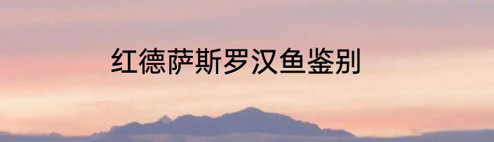 红德萨斯罗汉鱼鉴别