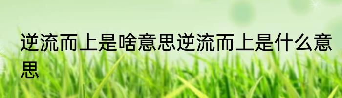 逆流而上是啥意思逆流而上是什么意思