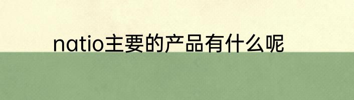 natio主要的产品有什么呢