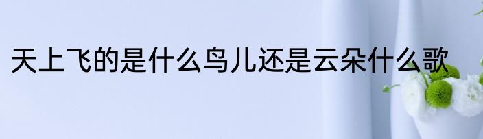天上飞的是什么鸟儿还是云朵什么歌