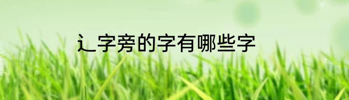 辶字旁的字有哪些字