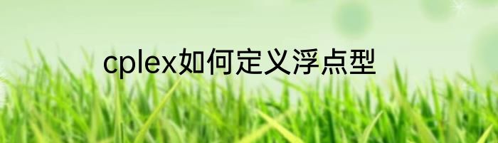 cplex如何定义浮点型
