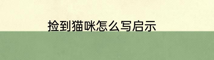 捡到猫咪怎么写启示