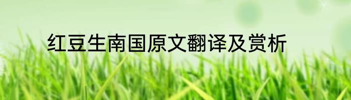 红豆生南国原文翻译及赏析