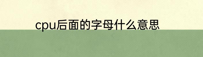 cpu后面的字母什么意思