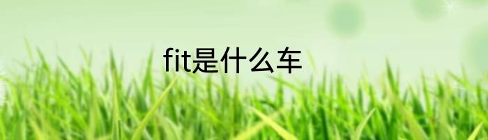 fit是什么车