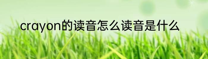 crayon的读音怎么读音是什么