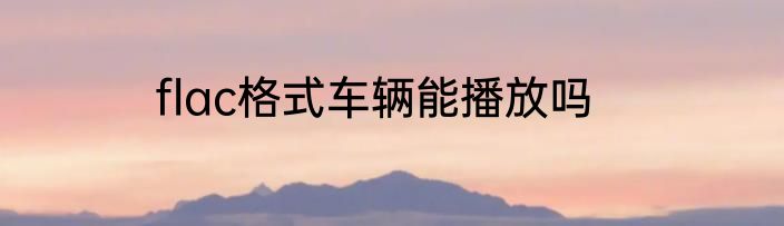 flac格式车辆能播放吗