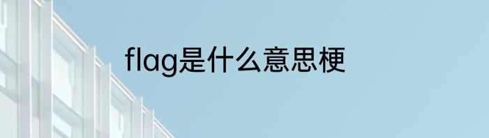 flag是什么意思梗