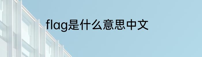 flag是什么意思中文
