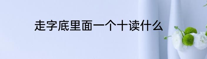 走字底里面一个十读什么