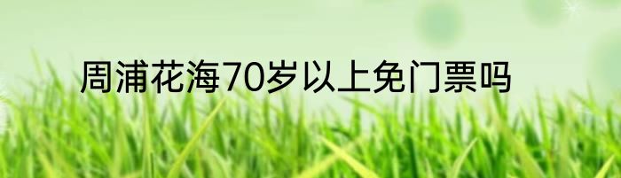 周浦花海70岁以上免门票吗