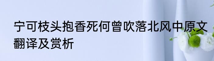 宁可枝头抱香死何曾吹落北风中原文翻译及赏析