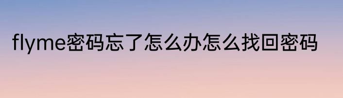 flyme密码忘了怎么办怎么找回密码