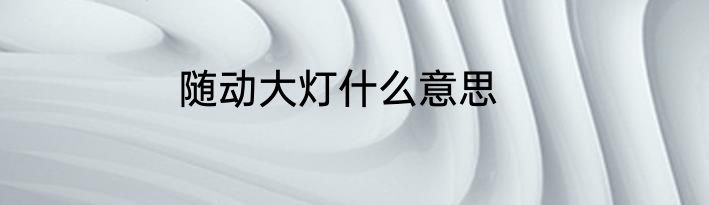 随动大灯什么意思