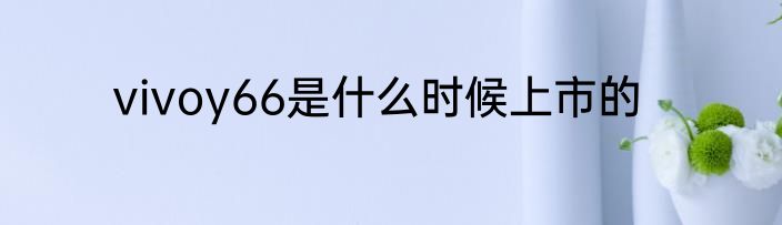 vivoy66是什么时候上市的